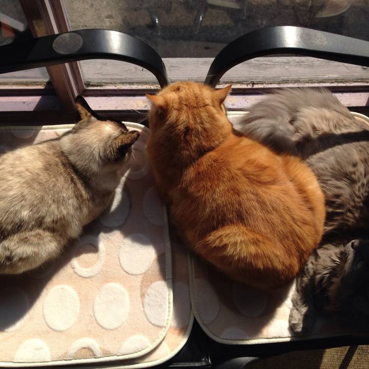 9d0b19bd ed7f 4d73 8329 8b13533b92ee