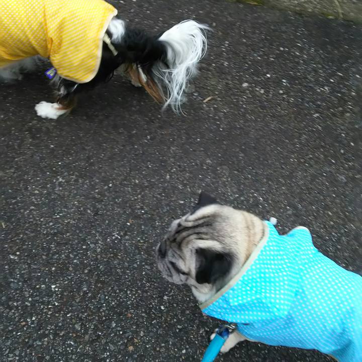 9d0b9566 925a 409f 9e68 ae1cc9f9811f