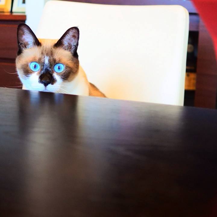 9d0bf54b f4f2 4f2e b952 8f58a52c6a24