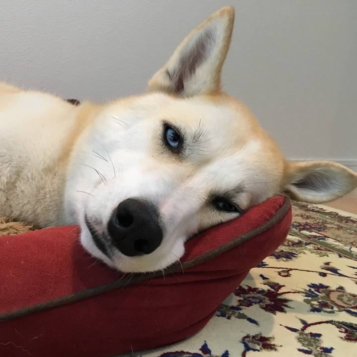 9d0ca5ba 7e51 4877 ada4 155cf106606e