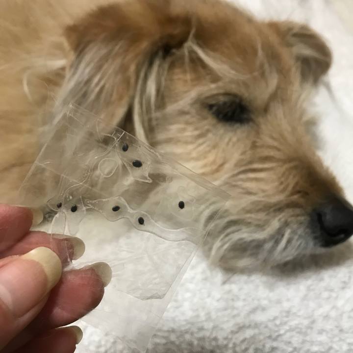 9d0cd379 9821 42a3 ab31 2d76b95cb385