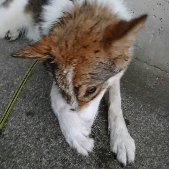 9d0d7d04 1995 4b05 95d2 eb40e9c799b6