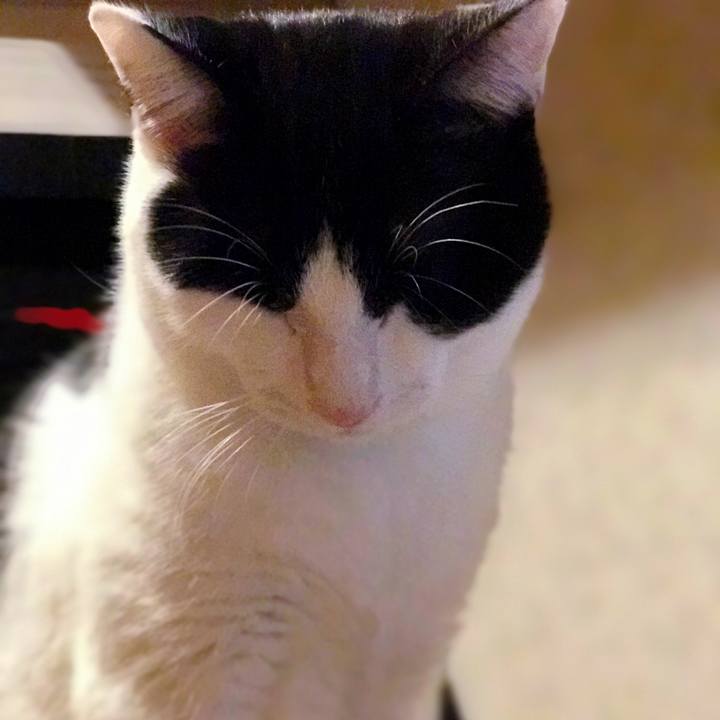 9d0d892d 5271 4112 9ea8 9214da950689