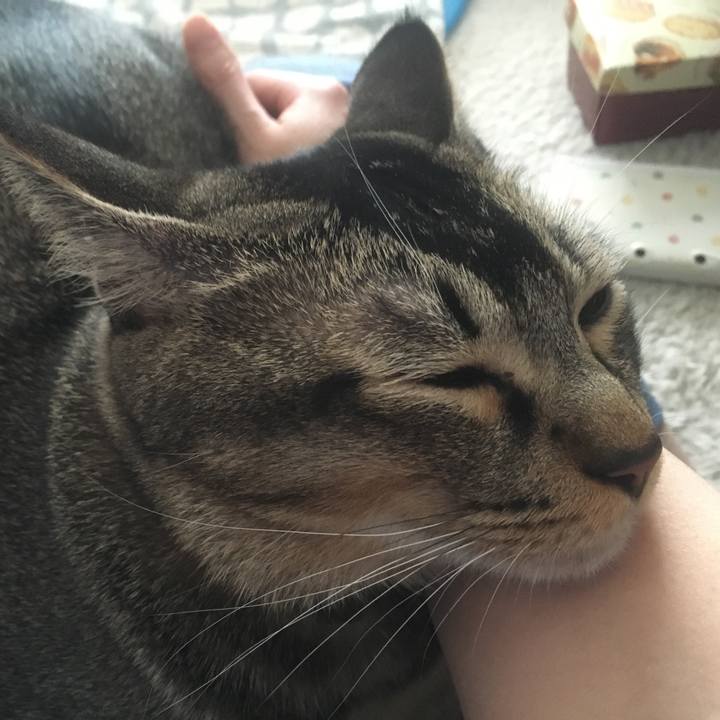 9d0e5da0 f6ad 4468 afe7 0814779730b7