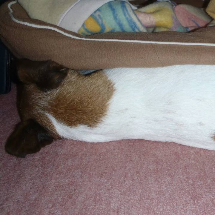 9d0e7044 4dfe 4ac9 a350 12d4b9d98b3a