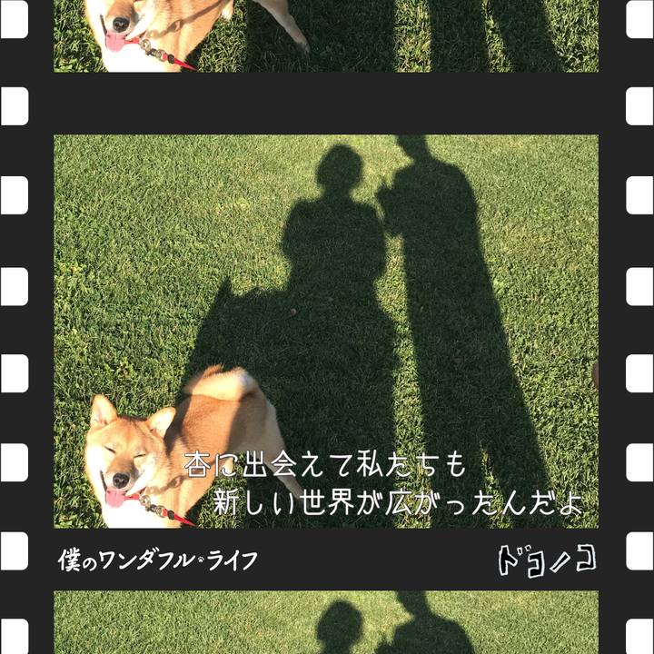 9d0e74f4 f323 4d93 a5ae 0834a0e9e796