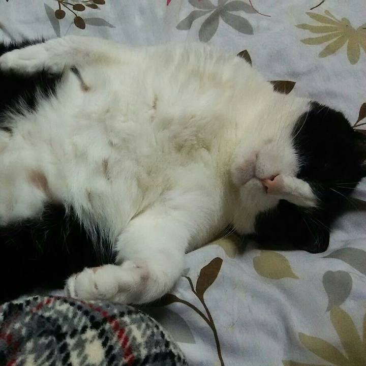 9d0eb7e4 689c 4df8 802b 76efa0b0fca7