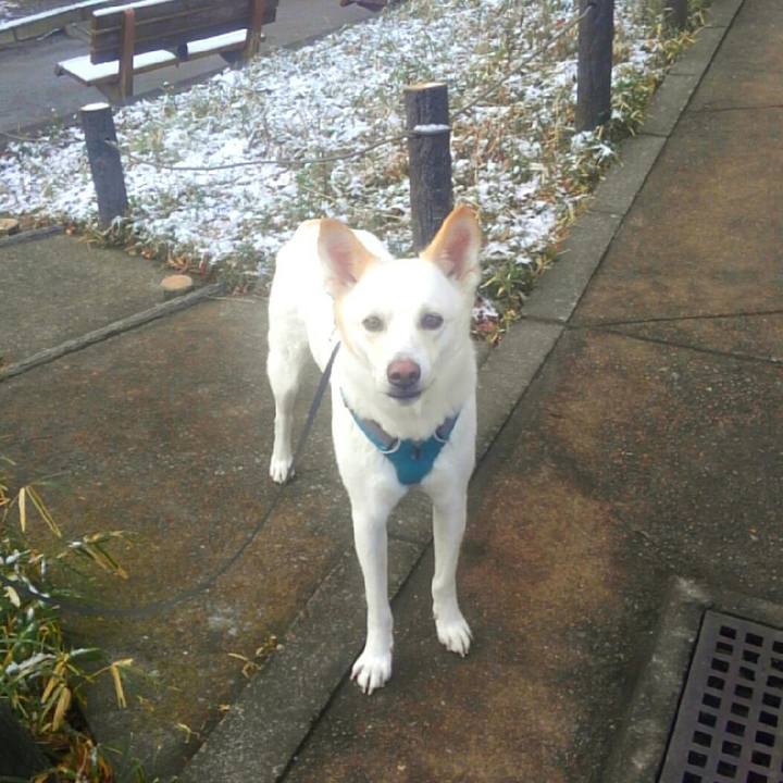 9d0fe841 8574 455d 960c efb5a017f1cb