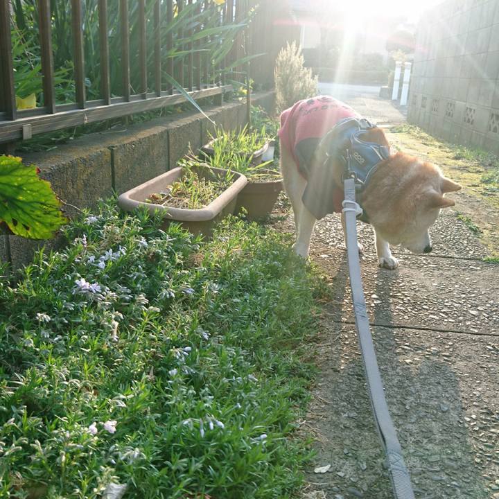 9d0febec cf84 48fa 9e76 3b7059aeda60