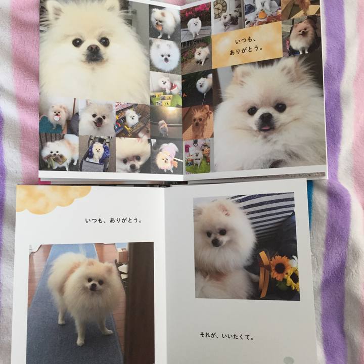 9d10f81c 85d0 46dc 919c 764fc63cf66b