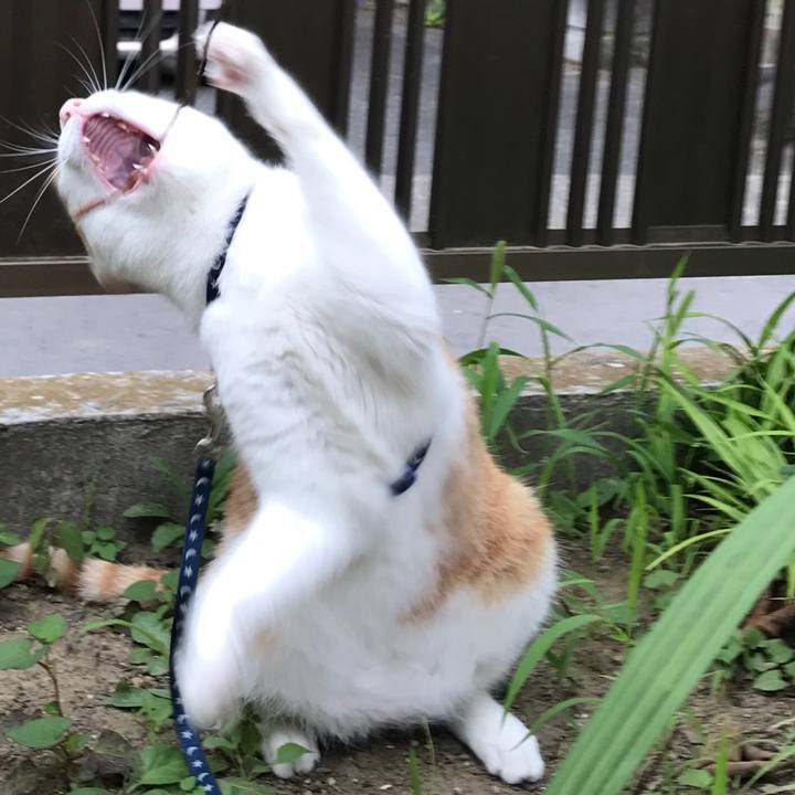 9d1118bd bb4d 4b6b 884d 5cb6b030d2ea