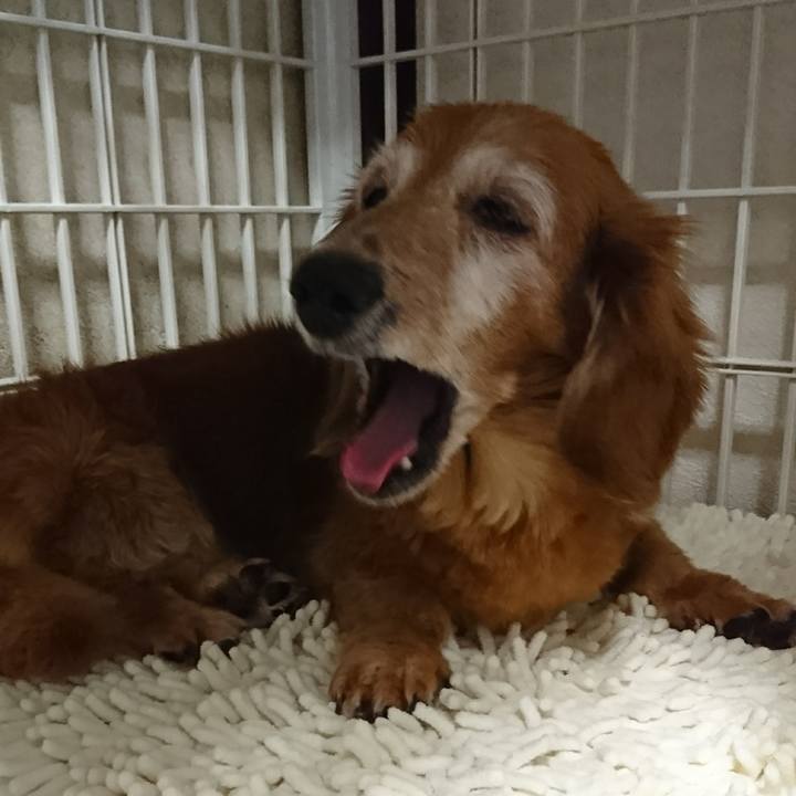 9d112996 c013 419a a548 20cc94f1bc76