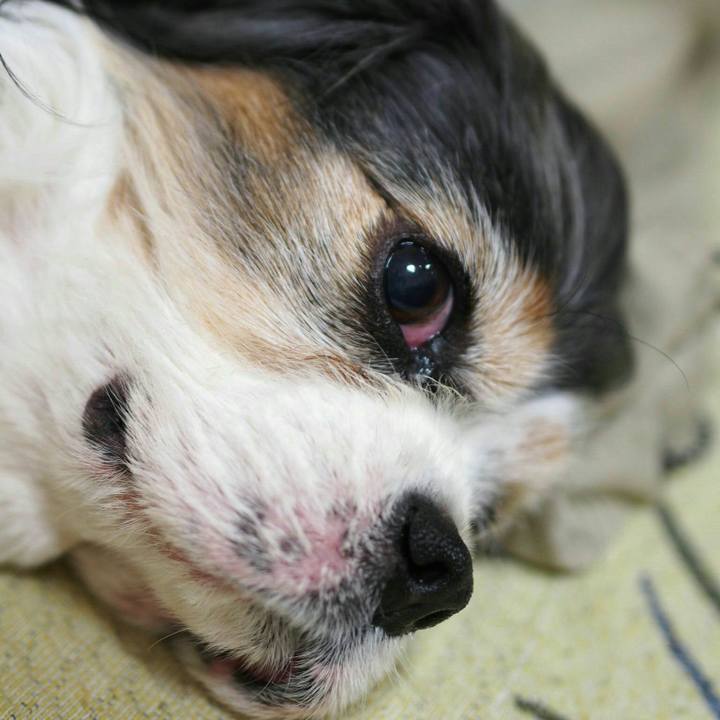 9d11f544 cb5d 42c9 bb40 e9e2768f3faf