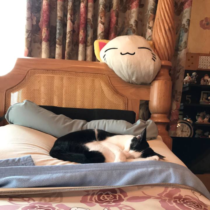 9d1278df a7fb 42d6 84df 8065de61704d