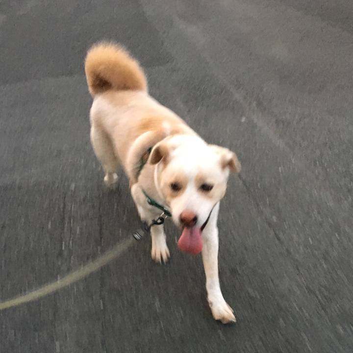 9d12ab6b 6b13 4edb a2fa 84efebf23ee3