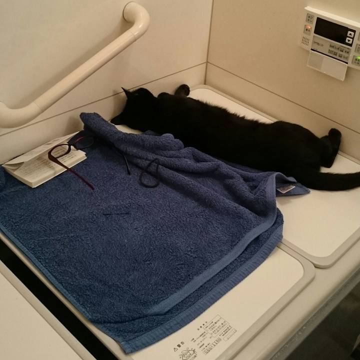 9d12dedc 64a1 49dd 8596 1b8f9a6468dd