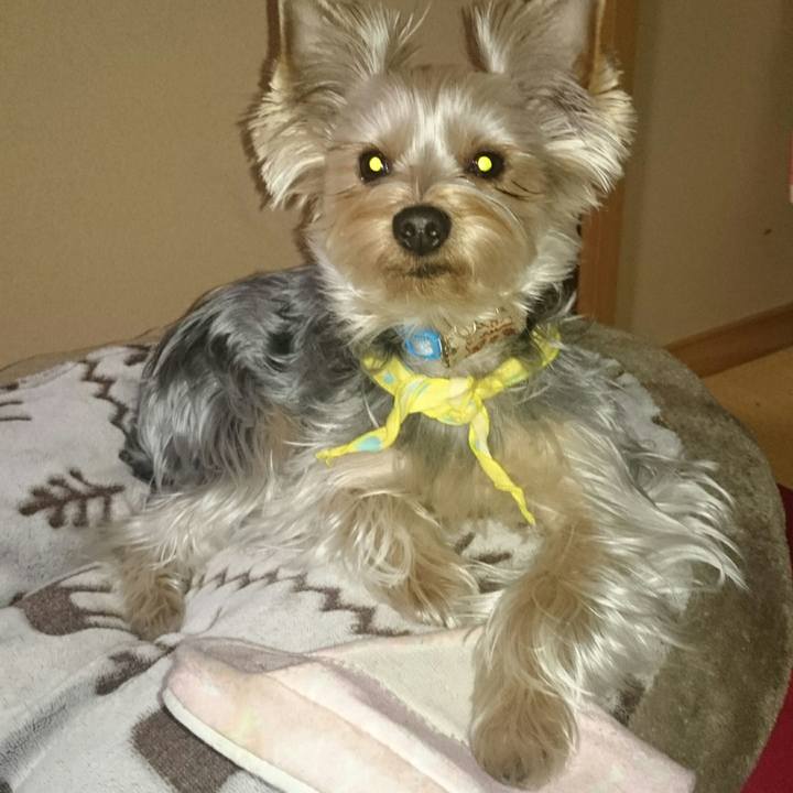 9d12e08f 30e6 4c11 ab09 35bc22f90963