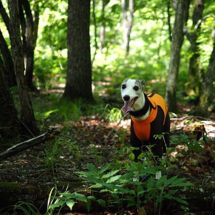 9d12f197 f5c4 44b9 8ec6 83fb079b76e8