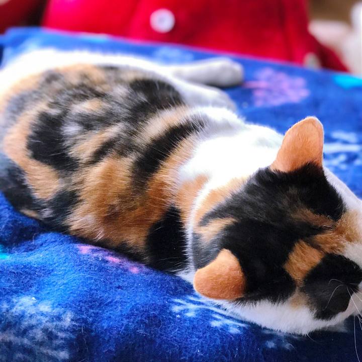 9d1328f3 2fc5 486e 896a 5e63135181cc