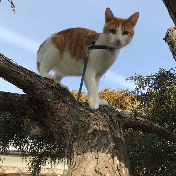 9d134509 fe2b 4335 a11a 8cbda51049b0