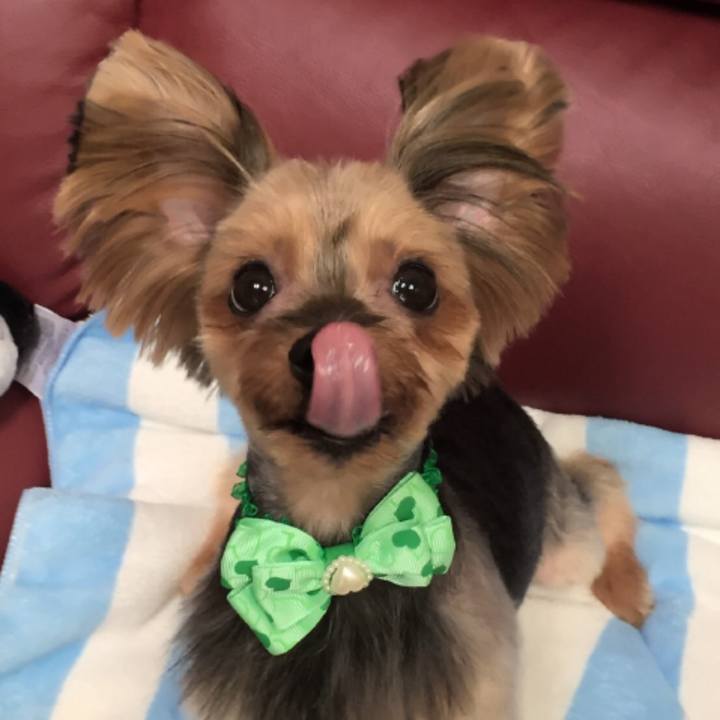 9d14a316 6ce4 41f7 b3e8 d41fc274e558