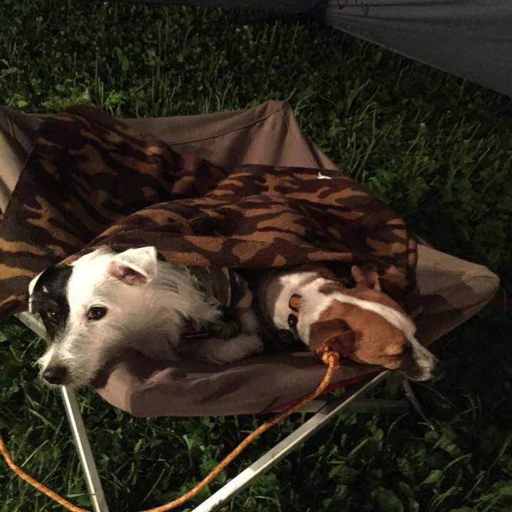 9d14f6cf 213d 4db9 b13f 82fabbc48f47