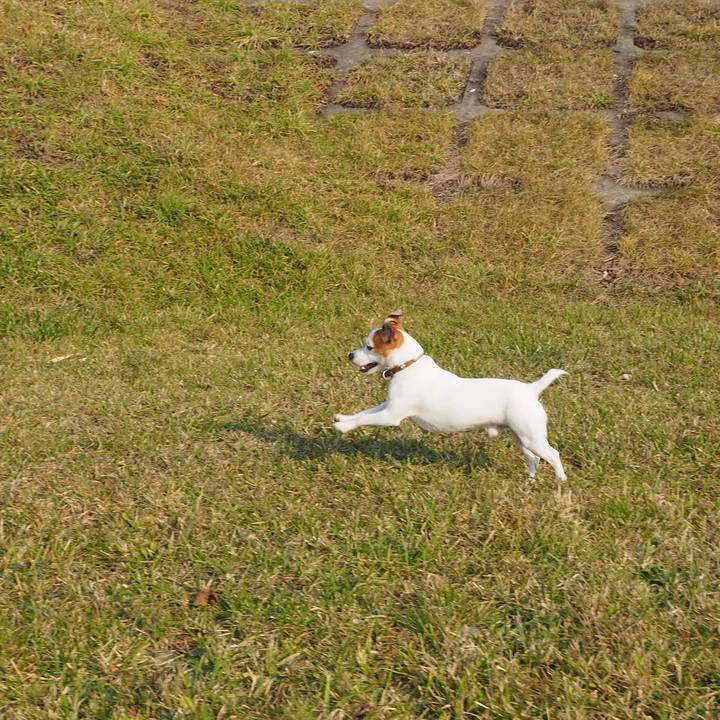 9d14fb4b 9b47 4854 bb3a 761e11836ae2