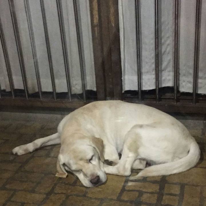 9d15309d 3b4d 480e a589 37988d151eb5