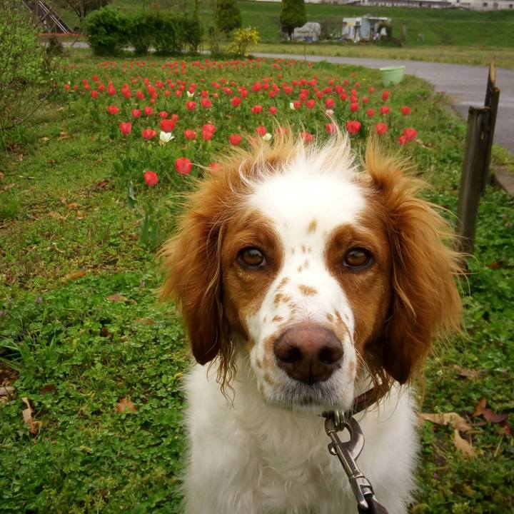 9d156ea7 1cce 44f7 830f d94ed45fd7f5