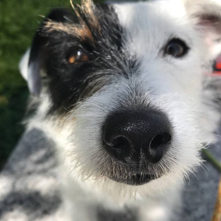 9d159a2b afd5 402d b893 a83f01a831a5