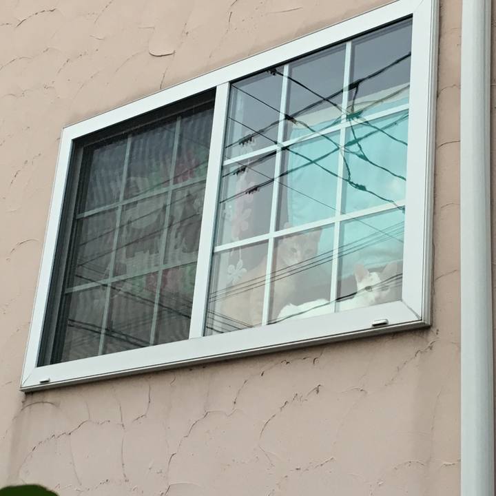 9d15a8f8 cce7 4a2b b624 97938ebffce3