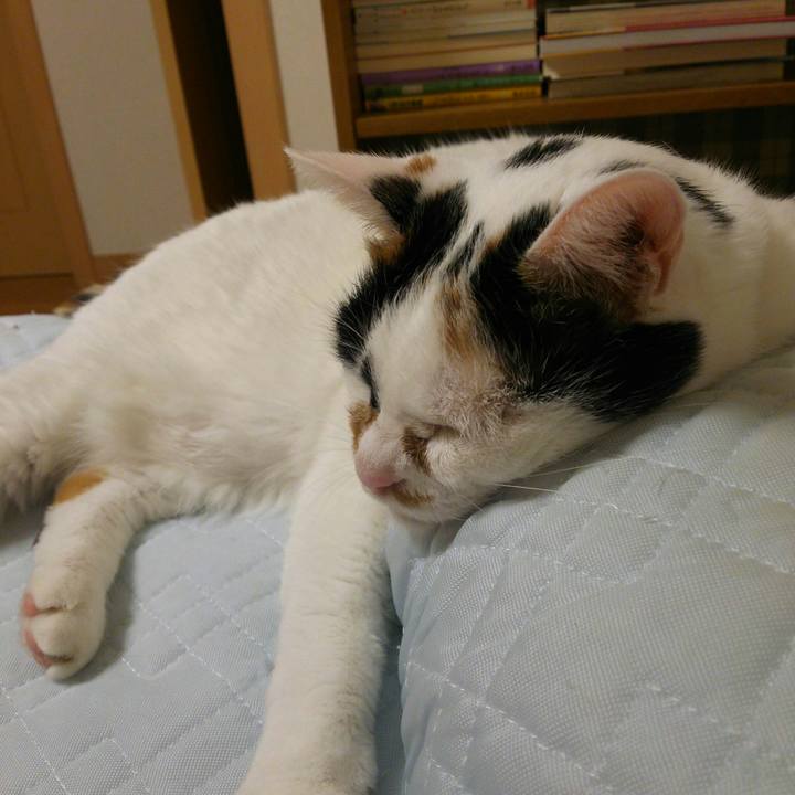 9d15c662 7548 4d57 8764 30f7404b0f54