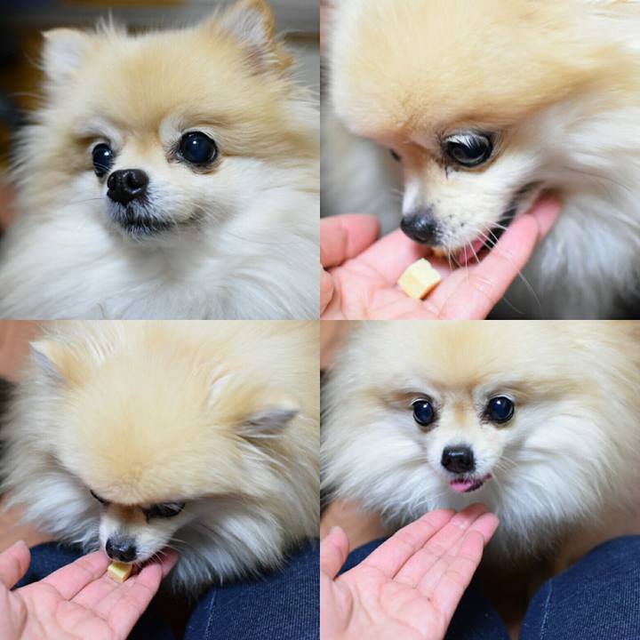 9d15fee5 afc6 4a7a b379 b4dd9c458de5