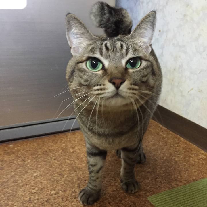 9d1632cf 8ef0 40b4 bf35 4a2ca8901318