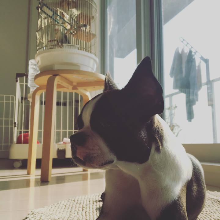 9d16400b f6fd 4870 97d2 5370b374d1dc