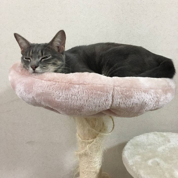 9d165a0d 9704 4116 a5e3 1fdcc15a6838