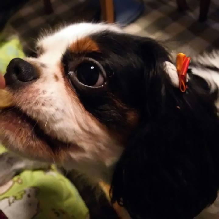 9d171b83 dc28 4fc1 aa29 5077733c60f0