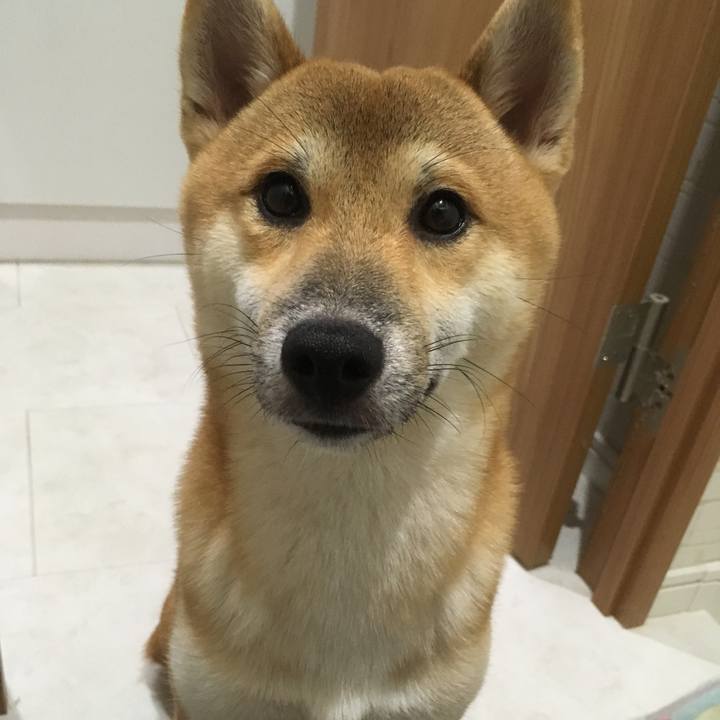 9d172a3f 721c 4c28 8fc7 d6c8a2a22a52