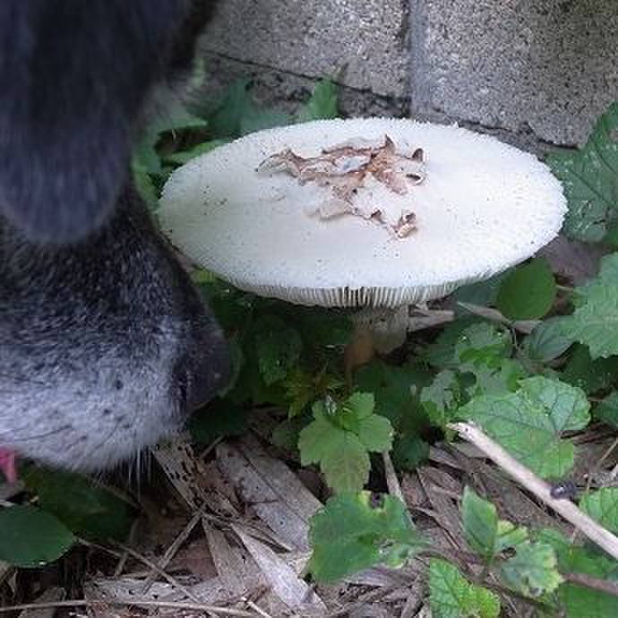 9d173a7b accb 492a b1c0 6584a490f8b4