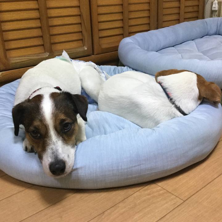 9d173f34 25ed 4aa9 a1a4 d3a90d2b049c