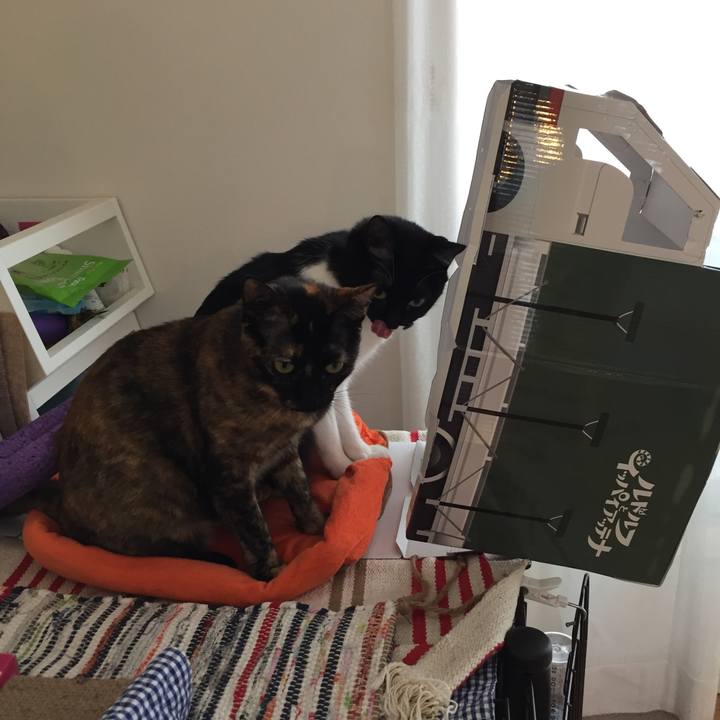 9d1816c3 904b 43fa 8d76 90dc3335479d