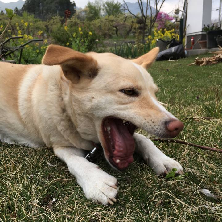 9d185097 27f1 4f75 9dd8 067015db4373