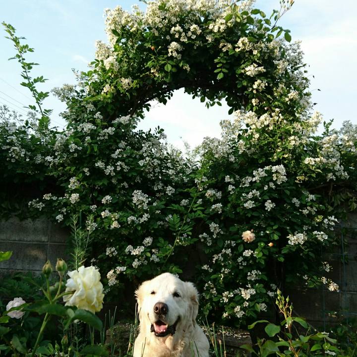 9d18ace0 1495 47f4 af6e 647cdade6b6d