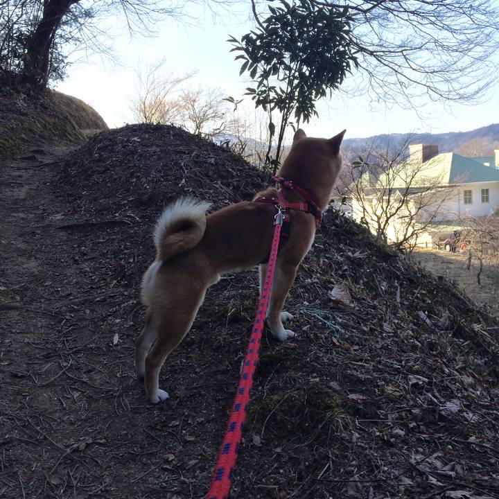 9d18e2d8 6244 4981 8cf5 47135a5c9c97