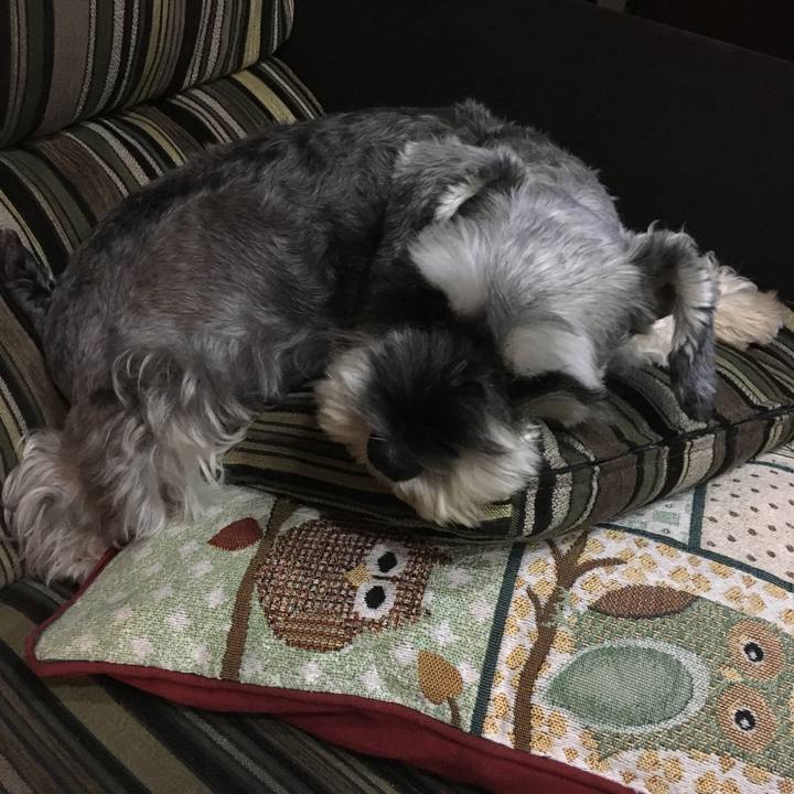 9d1900c4 dac3 464d a301 c05c131a926f