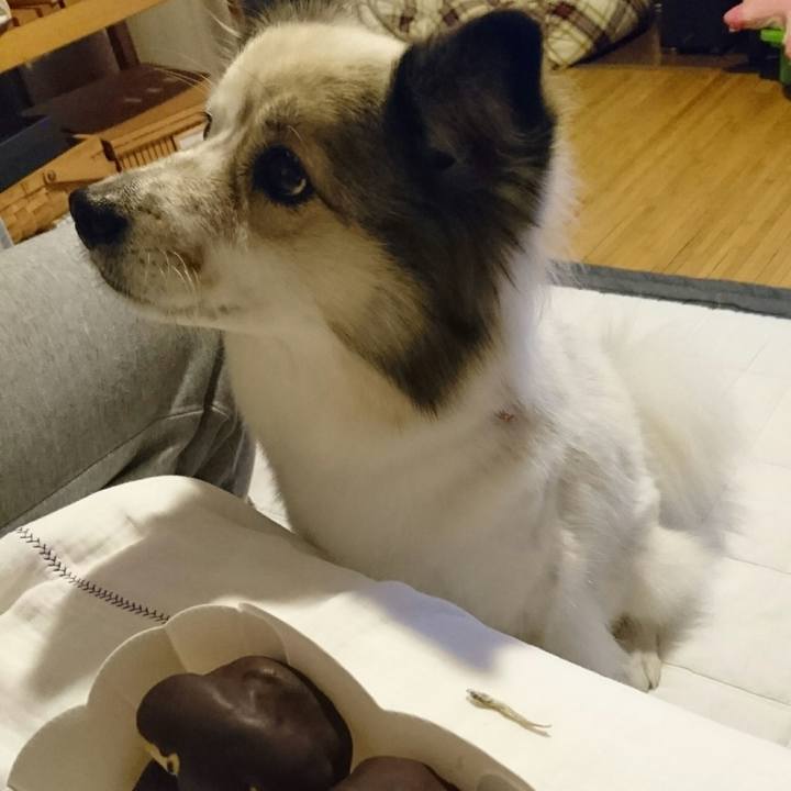 9d19175e 2879 4ff7 a062 620d9275256e