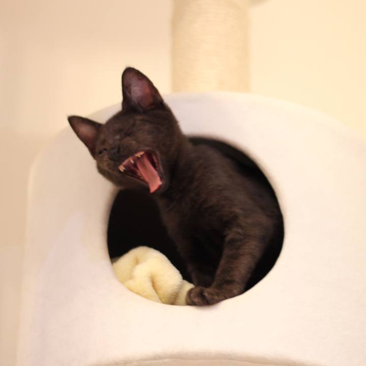 9d19bcc7 484c 49c2 87a4 f566c4ea1922