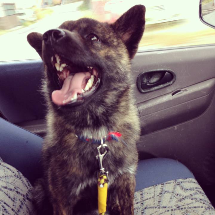 9d19f4fd c017 4aee b8b6 ab370673be9c