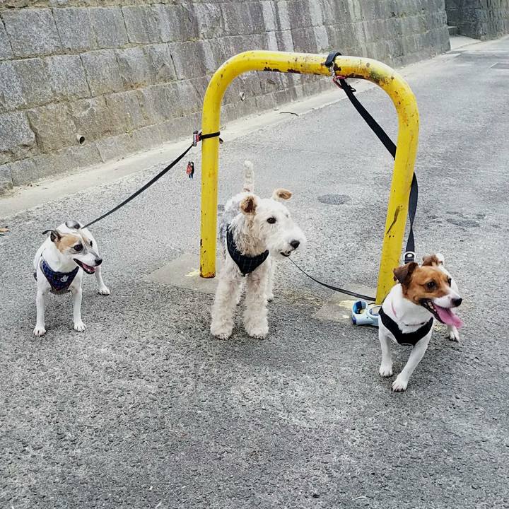 9d1a4262 a345 4309 9353 ae00670b6492