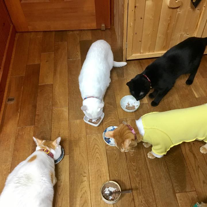 9d1a6017 9feb 46e2 8140 6fffbae948b2